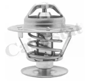 Термостат, охлаждающая жидкость CALORSTAT by Vernet купить