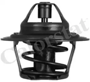 Термостат, охлаждающая жидкость CALORSTAT by Vernet купить