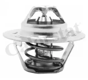 Термостат, охлаждающая жидкость CALORSTAT by Vernet купить