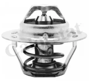 Термостат, охлаждающая жидкость CALORSTAT by Vernet купить