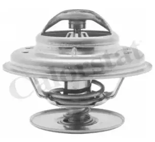 Термостат, охлаждающая жидкость CALORSTAT by Vernet купить