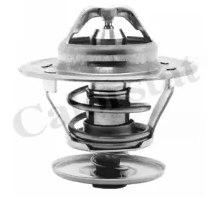 Термостат, охлаждающая жидкость CALORSTAT by Vernet купить