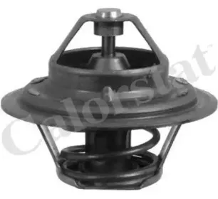 Термостат, охлаждающая жидкость CALORSTAT by Vernet купить