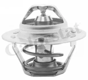 Термостат, охлаждающая жидкость CALORSTAT by Vernet купить