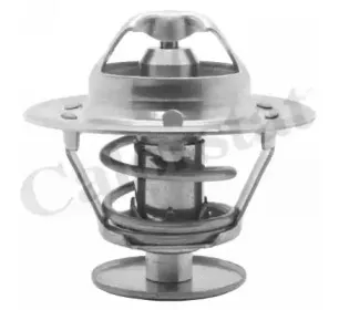 Термостат, охлаждающая жидкость CALORSTAT by Vernet купить