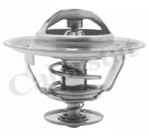 Термостат, охлаждающая жидкость CALORSTAT by Vernet купить