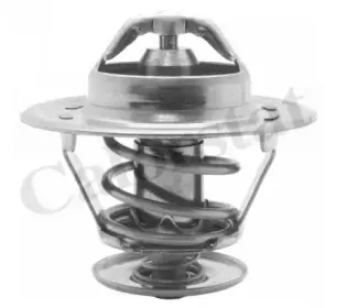 Термостат, охлаждающая жидкость CALORSTAT by Vernet купить