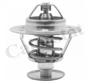 Термостат, охлаждающая жидкость CALORSTAT by Vernet купить