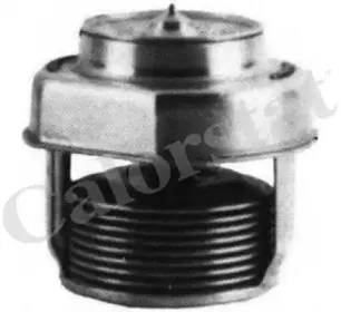 Термостат, охлаждающая жидкость CALORSTAT by Vernet купить