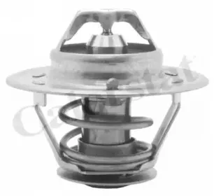 Термостат, охлаждающая жидкость CALORSTAT by Vernet купить