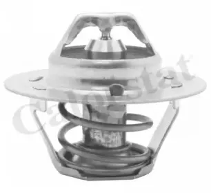 Термостат, охлаждающая жидкость CALORSTAT by Vernet купить