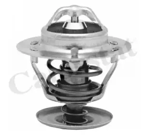 TH5750.92J VERNET Термостат CALORSTAT BY VERNET купить