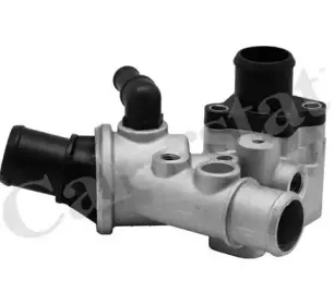 Термостат, охлаждающая жидкость CALORSTAT by Vernet купить