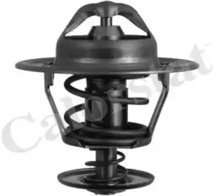 Термостат, охлаждающая жидкость CALORSTAT by Vernet купить