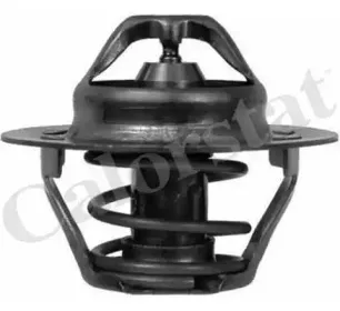 TH6045.89J VERNET Термостат CALORSTAT BY VERNET купить