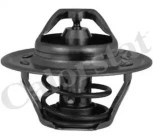 Термостат, охлаждающая жидкость CALORSTAT by Vernet купить