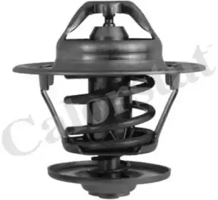 Термостат, охлаждающая жидкость CALORSTAT by Vernet купить