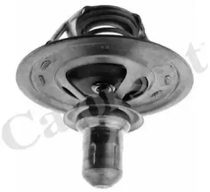 Термостат, охлаждающая жидкость CALORSTAT by Vernet купить