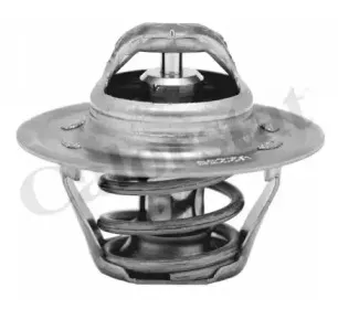 Термостат, охлаждающая жидкость CALORSTAT by Vernet купить