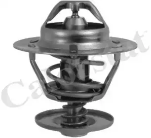 Термостат, охлаждающая жидкость CALORSTAT by Vernet купить