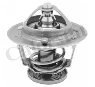 TH6314.76 VERNET Термостат CALORSTAT BY VERNET купить