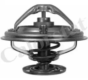 Термостат, охлаждающая жидкость CALORSTAT by Vernet купить