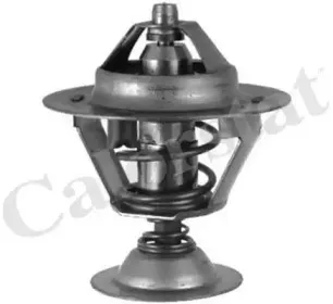 Термостат, охлаждающая жидкость CALORSTAT by Vernet купить