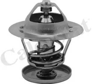 Термостат, охлаждающая жидкость CALORSTAT by Vernet купить