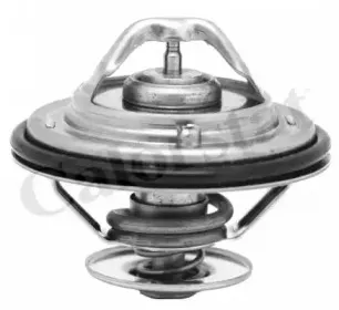 Термостат, охлаждающая жидкость CALORSTAT by Vernet купить