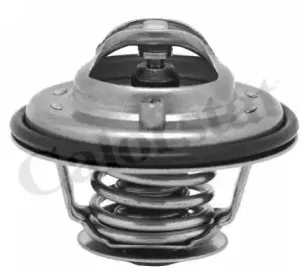 Термостат, охлаждающая жидкость CALORSTAT by Vernet купить