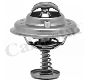 Термостат, охлаждающая жидкость CALORSTAT by Vernet купить