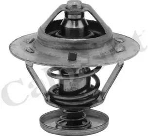 Термостат, охлаждающая жидкость CALORSTAT by Vernet купить