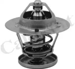 Термостат, охлаждающая жидкость CALORSTAT by Vernet купить