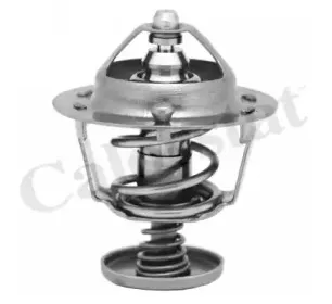 Термостат, охлаждающая жидкость CALORSTAT by Vernet купить