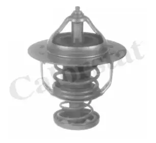 Термостат, охлаждающая жидкость CALORSTAT by Vernet купить