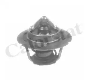 TH6843.91J VERNET Термостат CALORSTAT BY VERNET купить