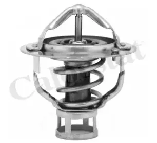 Термостат, охлаждающая жидкость CALORSTAT by Vernet купить