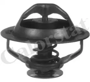 Термостат, охлаждающая жидкость CALORSTAT by Vernet купить