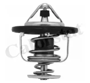 Термостат, охлаждающая жидкость CALORSTAT by Vernet купить