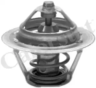 Термостат, охлаждающая жидкость CALORSTAT by Vernet купить