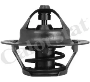 TH7050.88J VERNET Термостат CALORSTAT BY VERNET купить