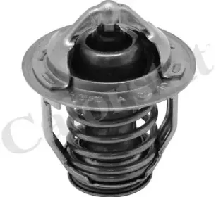 Термостат, охлаждающая жидкость CALORSTAT by Vernet купить