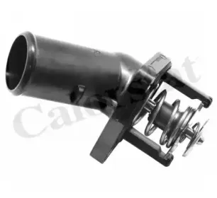 Термостат, охлаждающая жидкость CALORSTAT by Vernet купить