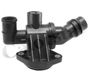 Термостат, охлаждающая жидкость CALORSTAT by Vernet купить