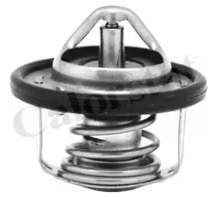 Термостат, охлаждающая жидкость CALORSTAT by Vernet купить