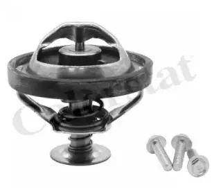 Термостат, охлаждающая жидкость CALORSTAT by Vernet купить