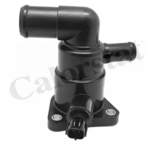 Термостат, охлаждающая жидкость CALORSTAT by Vernet купить