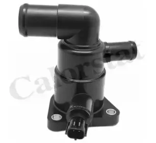 Термостат, охлаждающая жидкость CALORSTAT by Vernet купить