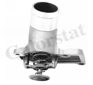 Термостат, охлаждающая жидкость CALORSTAT by Vernet купить