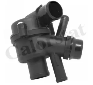 Термостат, охлаждающая жидкость CALORSTAT by Vernet купить